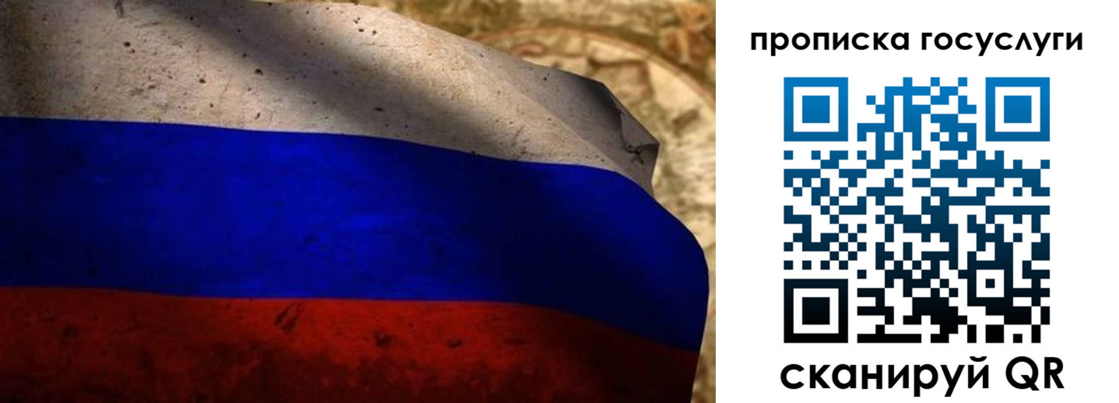 миграционный учет в Сертолово
